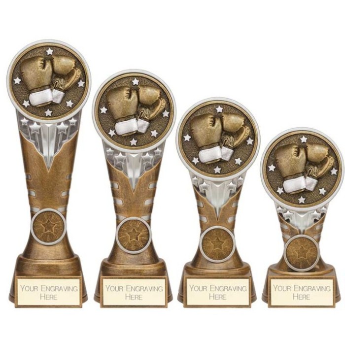 IKON BOXING RESIN TROPHY WITH OPTIONAL CUSTOM CENTRE - 4 SIZES - 15CM - 22.5CM